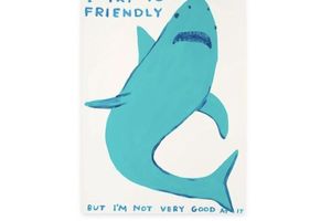 David Shrigley