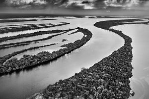 Sebastiao Salgado