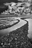 Anavilhanas National Park state of Amazonas Brazil by Sebastiao Salgado contemporary artwork Photography