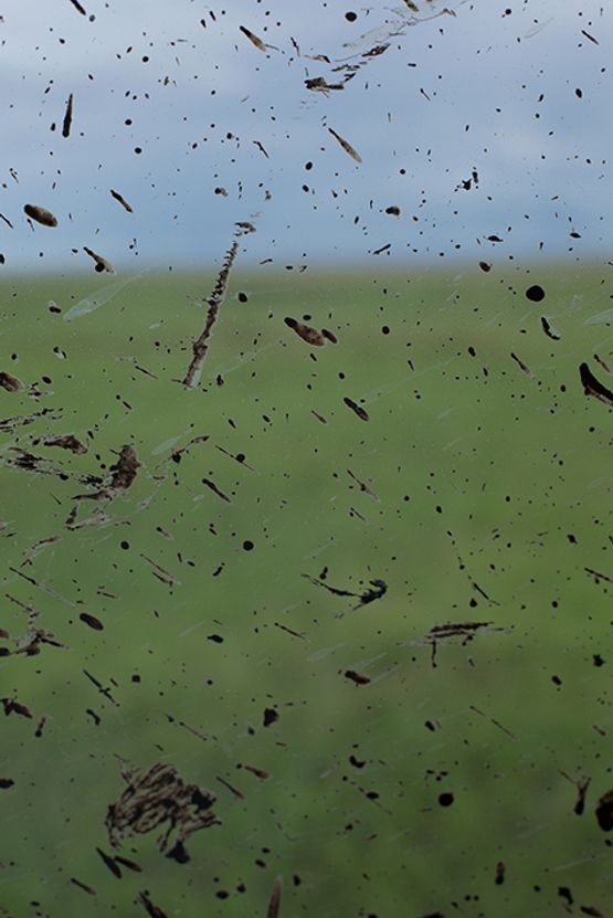 sprinkled landscape by Wolfgang Tillmans contemporary artwork Photography