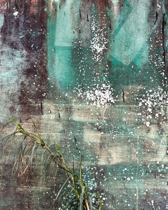 Efflorescence by Anastasia Samoylova contemporary artwork Photography
