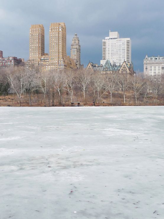 Untitled from the series WATER by Jitka Hanzlova contemporary artwork Photography