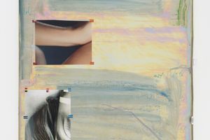 Hayley Tompkins