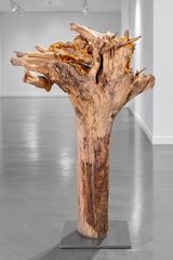 Ghost Bark by Elnara Nasirli contemporary artwork installation