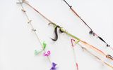 Elo  Link by Sara Ramo contemporary artwork sculpture