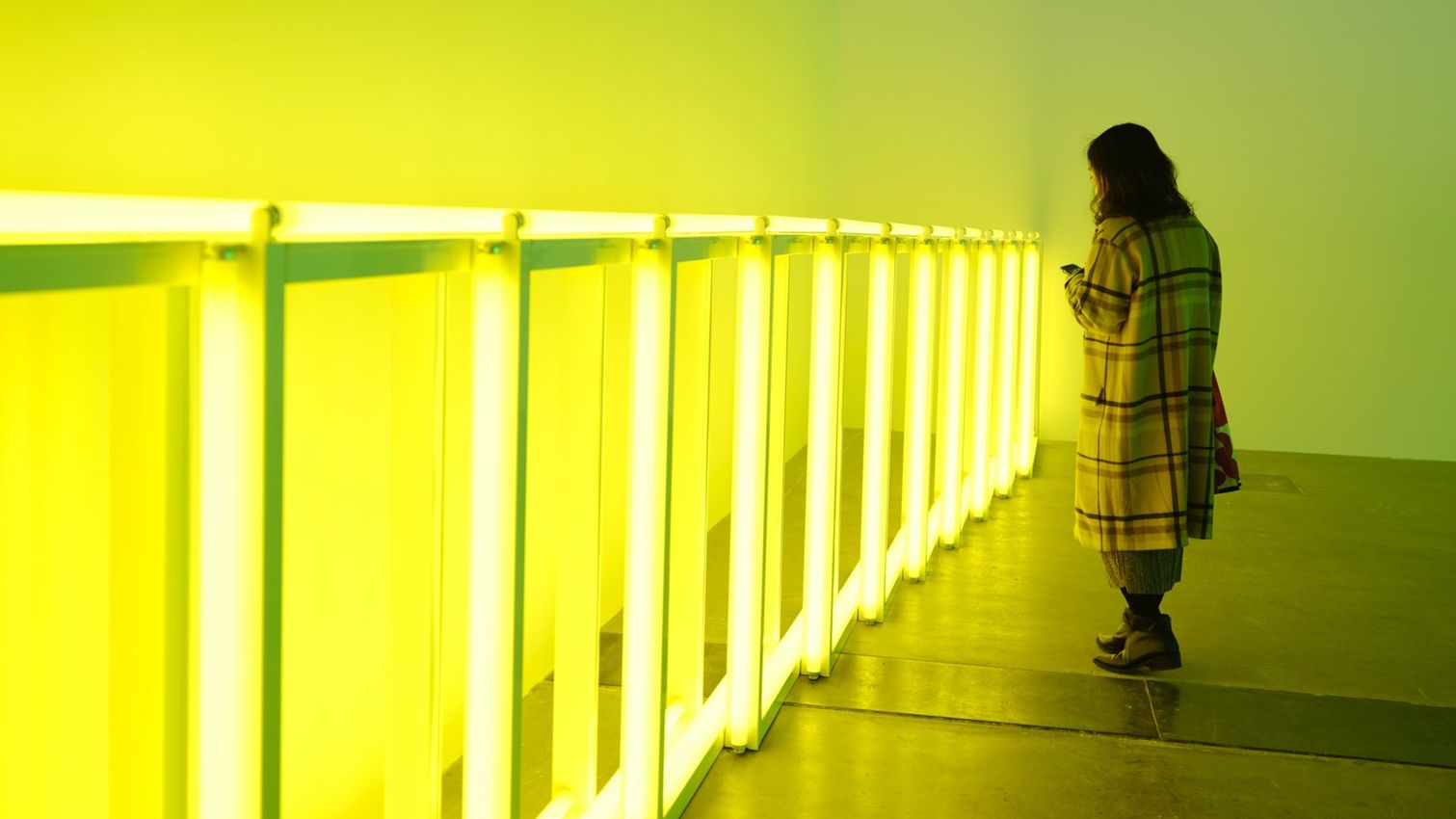 The art world in focus