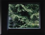 KIMUSA 26 by Tomoko Yoneda contemporary artwork photography