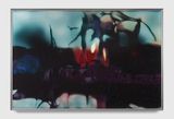 HLKRKMLJ by Anicka Yi contemporary artwork print