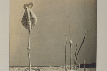 Raoul Ubac contemporary artist