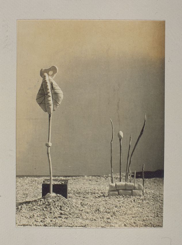 RAOUL UBAC