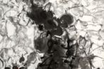 Lok Yitong contemporary artist