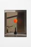 Dahlia by Michael Wilkinson contemporary artwork Painting
