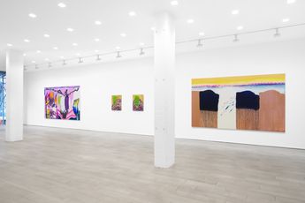 Contemporary art exhibition Monique Van Genderen Monique van Genderen at Miles McEnery Gallery 511 West 22nd St New York United States
