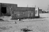 Abandon by Fouad Elkoury And Jeremy Peacock contemporary artwork print