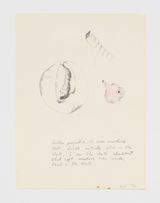 No Title by Faith Wilding contemporary artwork works on paper drawing
