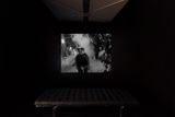 Looking for Langston by Isaac Julien contemporary artwork moving image