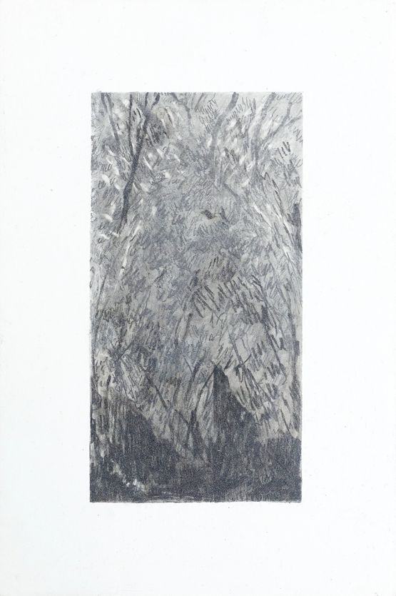 The woods we curl in by Moses Tan contemporary artwork Works on Paper