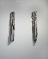 Metamorphosis into Woods II by Shigeo Toya contemporary artwork painting