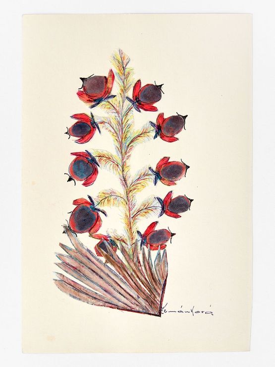 Untitled by Anna Zemankova contemporary artwork Textile