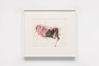 The Estate of Lucia Nogueira contemporary artist