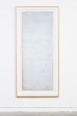 Subtilis by Joyce Campbell contemporary artwork photography