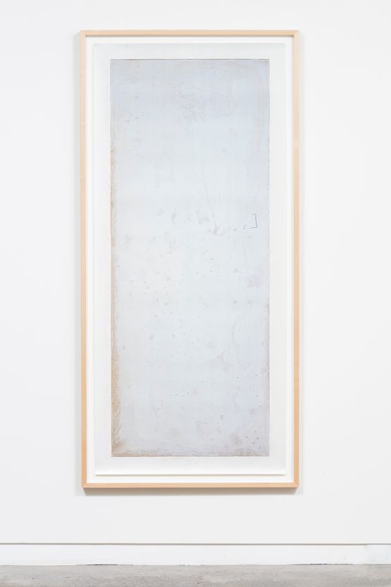 Subtilis by Joyce Campbell contemporary artwork Photography