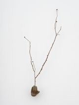 Witness Highview by Kelly Akashi contemporary artwork sculpture