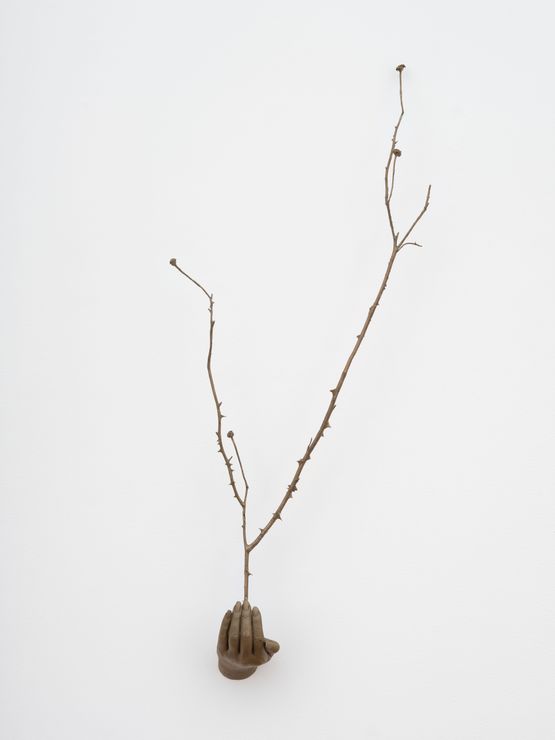 Witness Highview by Kelly Akashi contemporary artwork Sculpture