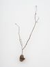 Witness Highview by Kelly Akashi contemporary artwork Sculpture