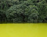 57 - 44351. Sagano. Japan by Franck Christen contemporary artwork photography print