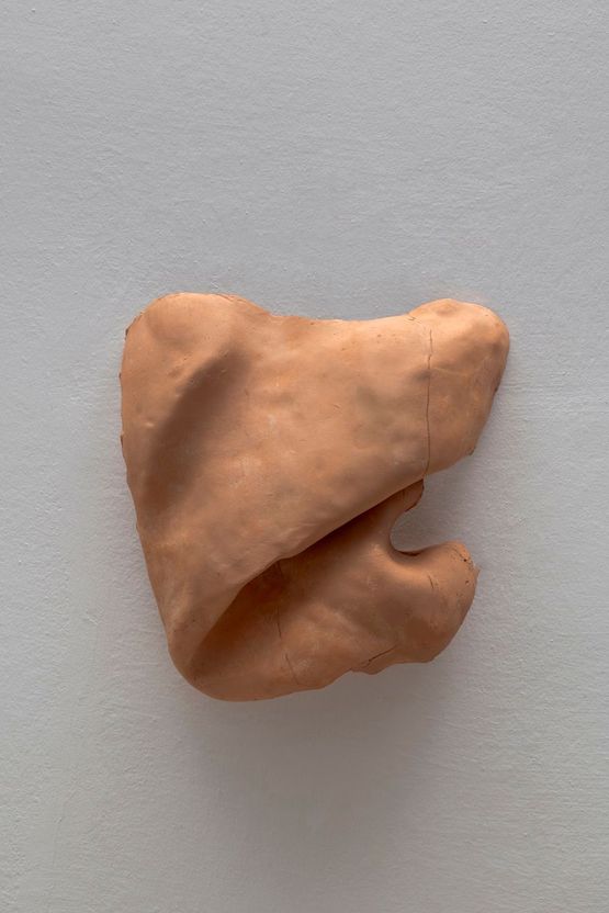 Studies for potential metamorphoses XXV by Yasam Sasmazer contemporary artwork Sculpture