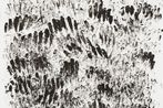 Kiro Uehara contemporary artist