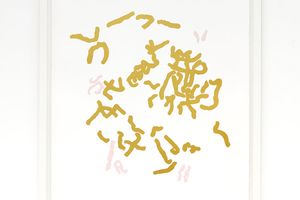 Alicia Frankovich
