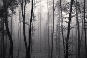 Michael Kenna