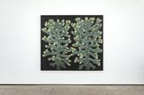 portrait of two monkey puzzle trees with spring growth by Andrew Sim contemporary artwork works on paper