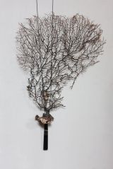 Seafan on Striped Agate Handle by Romilly Saumarez Smith contemporary artwork sculpture