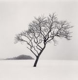 Blackstone Hill Tree Hokkaido Japan by Michael Kenna contemporary artwork photography