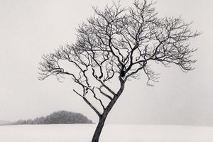 Michael Kenna