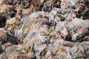 Shi Guowei