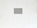 Untitled Ross in LA by Felix Gonzalez-Torres contemporary artwork Works on Paper