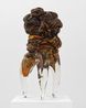 Processor by Tony Cragg contemporary artwork Sculpture