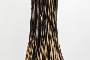 David Nash