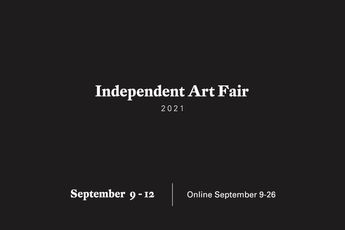 Contemporary art exhibition Independent NY 2021 at Maureen Paley London United Kingdom