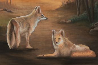 Neil Raitt contemporary artist