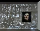 On an Overgrown Path Floods  On an Overgrown Path Racing Thoughts by Matt Saunders contemporary artwork moving image