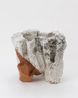 El Capitan by Miwa Kyusetsu Xiii contemporary artwork