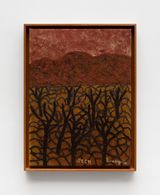 Seca by Amadeo Luciano Lorenzato contemporary artwork mixed media