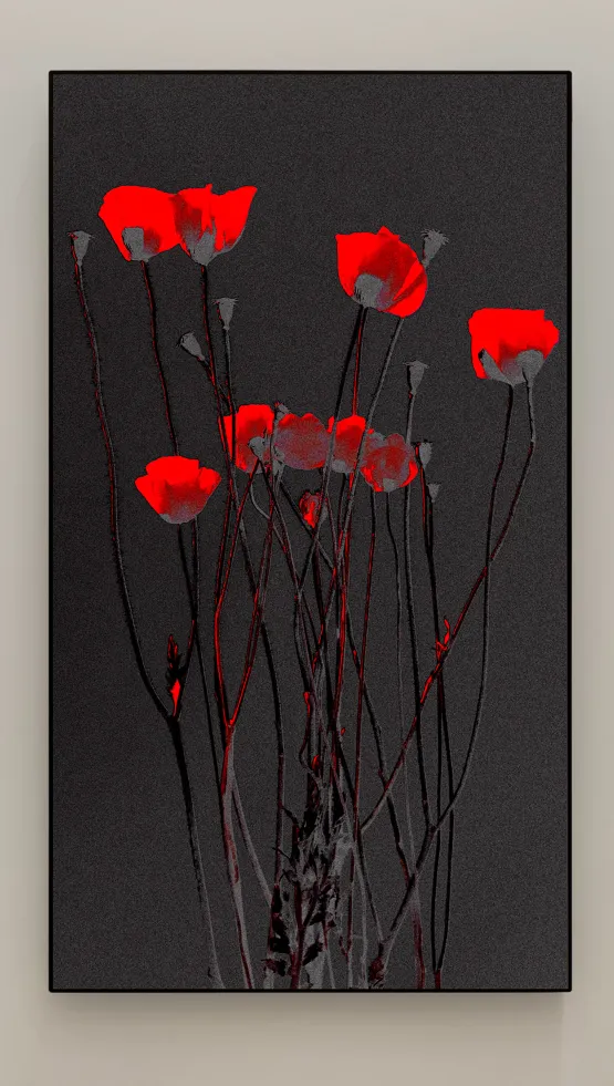 Red Light by Michal Rovner contemporary artwork Moving Image