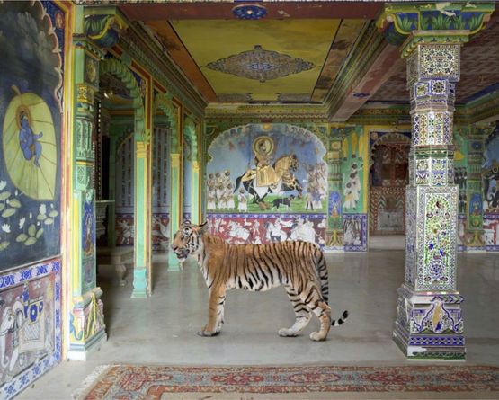 Arjunas Path Junha Mahal Dungarpur by Karen Knorr contemporary artwork Painting