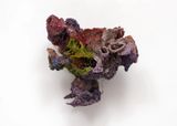 The Lesser Evils Part 2 by Julio Rizhi contemporary artwork sculpture